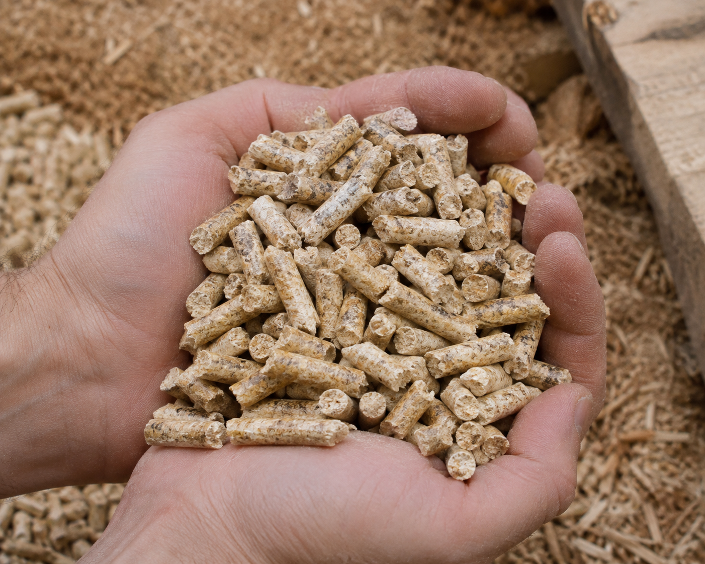 Tren Permintaan Wood Pellet untuk Pasar Industri Asia